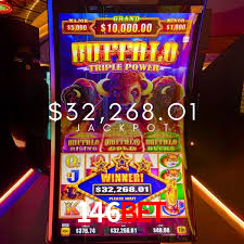 A Experiência Imersiva dos Cassinos Ao Vivo no 146bet